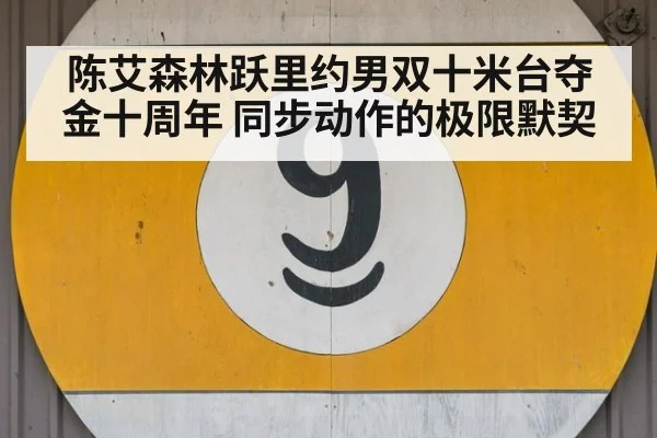 陈艾森林跃里约男双十米台夺金十周年 同步动作的极限默契